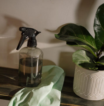 Ekologiczne środki czystości – dobry pomysł dla każdego ekologiczne środki czystości