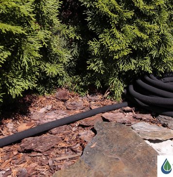 Jak wybrać dobry wąż ogrodowy? wąż ogrodowy