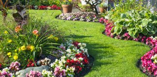 Nawozy hesi – co trzeba wiedzieć? kolorowy ogród kwiatowy