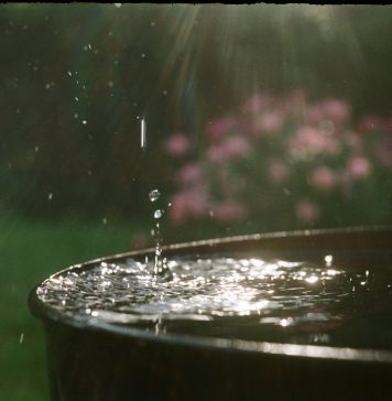 Zbieracze wody deszczowej – moda czy konieczność? zbieracz wody deszczowej