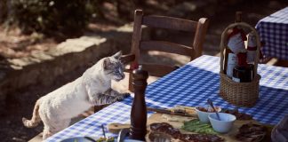 Czy plamoodporne obrusy wymagają prania? obrus plamoodporny