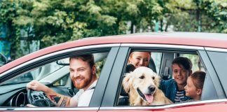 Jakie gry planszowe na długą podróż z dzieckiem? rodzina z dziećmi i psem w podróży