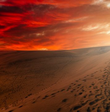 Diuna Denisa Villeneuve’a – jaka okazała się część pierwsza i czego można się spodziewać po kontynuacji? diuna recenzja