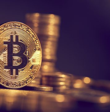 Handel kryptowalutami dla początkujących bitcoin kryptowauty