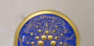 Co to jest Cardano? Cardano
