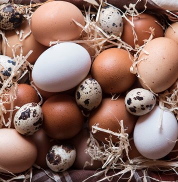 Jajka kurze, przepiórcze, perlicze, a może kacze – które są najzdrowsze różne jajka