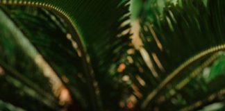 Jakie kosmetyki zabrać na wakacje? phenome