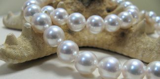 Naszyjnik z pereł morskich – czy warto perły morskie