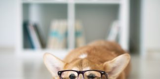 Jesienne premiery książek lektury na jesień