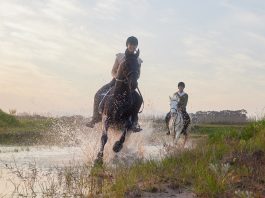 jazda konna