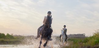 Jazda konna – jak zacząć przygodę ze sportem jazda konna