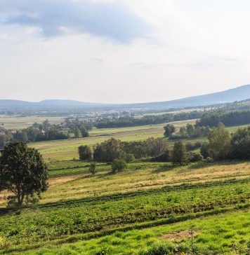 Góry Świętokrzyskie – odkryj skarby natury i historii Widok na Łysicę od strony Św. Katarzyny,Góry Świętokrzyski
