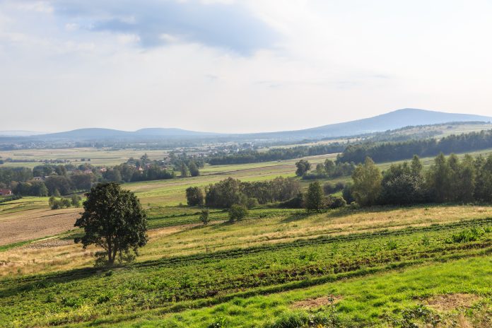 Widok na Łysicę od strony Św. Katarzyny,Góry Świętokrzyski