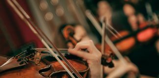 Jak dobrać odpowiednie instrumenty smyczkowe? instrumenty smyczkowe