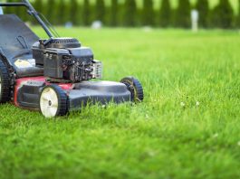 kosiarka do trawnika