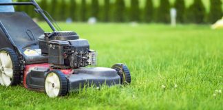 Jaką kosiarkę wybrać do koszenia dużego trawnika? kosiarka do trawnika