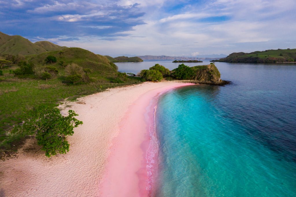 różowy piasek na Lombok