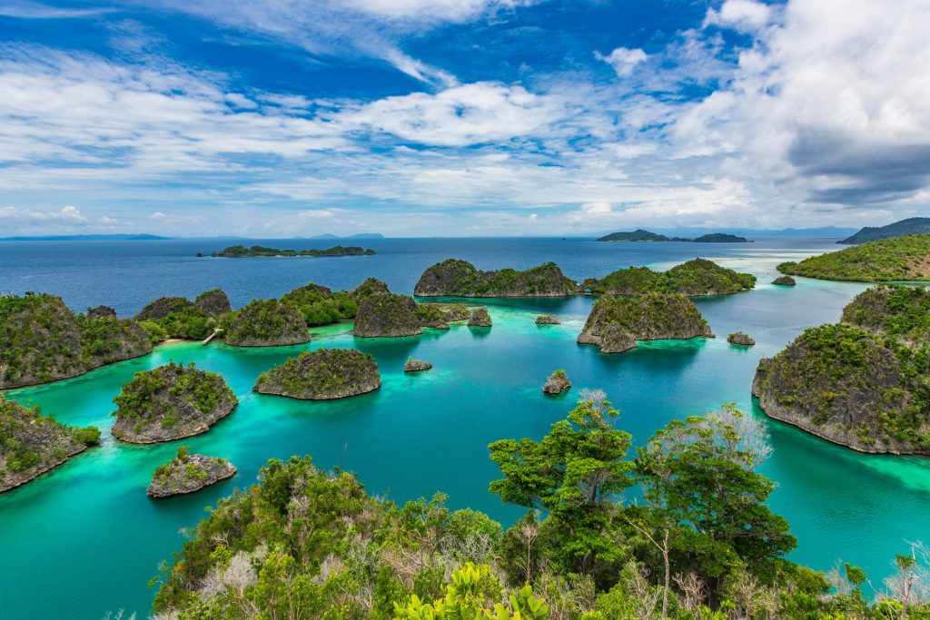 Raja Ampat, Zachodnia Papua. Indonesia