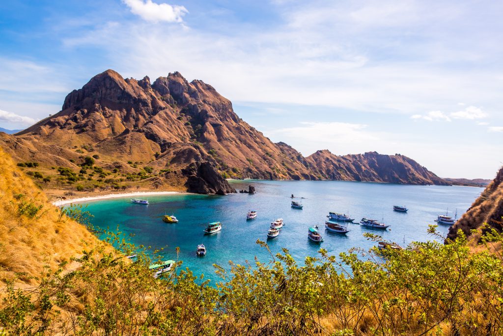 Flores, Komodo