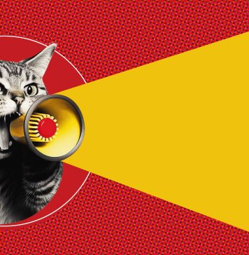 Psychologia konsumpcji: Jak reklamy wpływają na nasze wybory wpływ reklamy