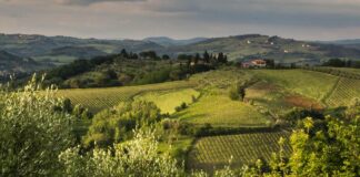 Majówka na Mazurach – 5 powodów, dla których warto wybrać jeziora zamiast gór majówka na Mazurach