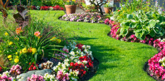 Jak wykorzystać ekobord w ogrodzie, by uzyskać estetyczny i trwały efekt? ekobord